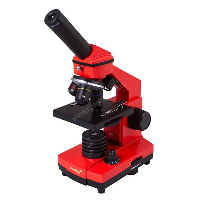 Микроскоп Levenhuk Rainbow 2L PLUS Orange (Апельсин)