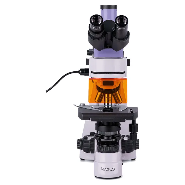 Микроскоп люминесцентный цифровой MAGUS Lum D400 LCD