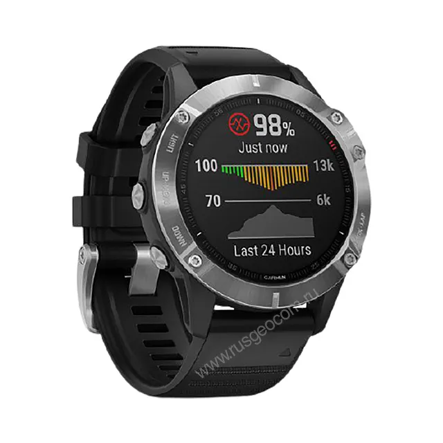 Часы Garmin Fenix 6 серебристые с черным ремешком