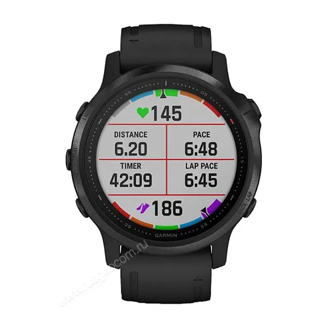 Часы Garmin Fenix 6S Pro черный с черным ремешком