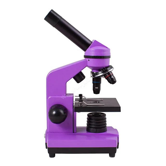 Микроскоп Levenhuk Rainbow 2L Amethyst (Аметист)