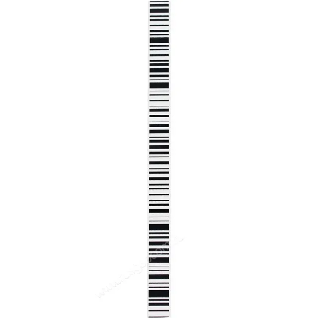 Рейка Leica GSS113