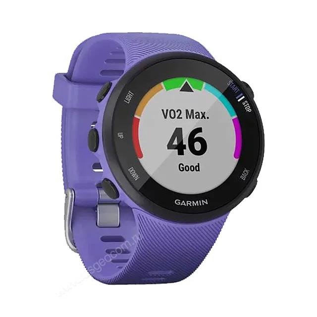 Часы Garmin Forerunner 45S ирис
