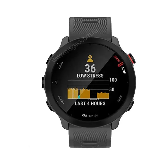 Часы Garmin Forerunner 55 серые