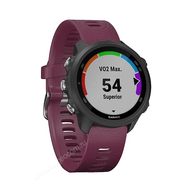 Часы Garmin Forerunner 245 черные с вишневым ремешком