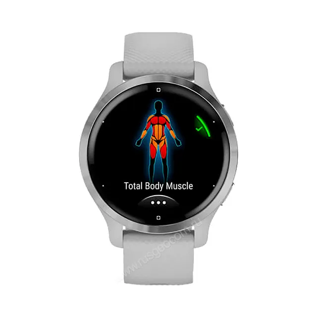 Часы Garmin Venu 2S серебристые