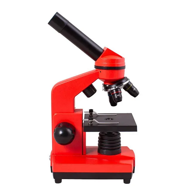 Микроскоп Levenhuk Rainbow 2L Orange (Апельсин)