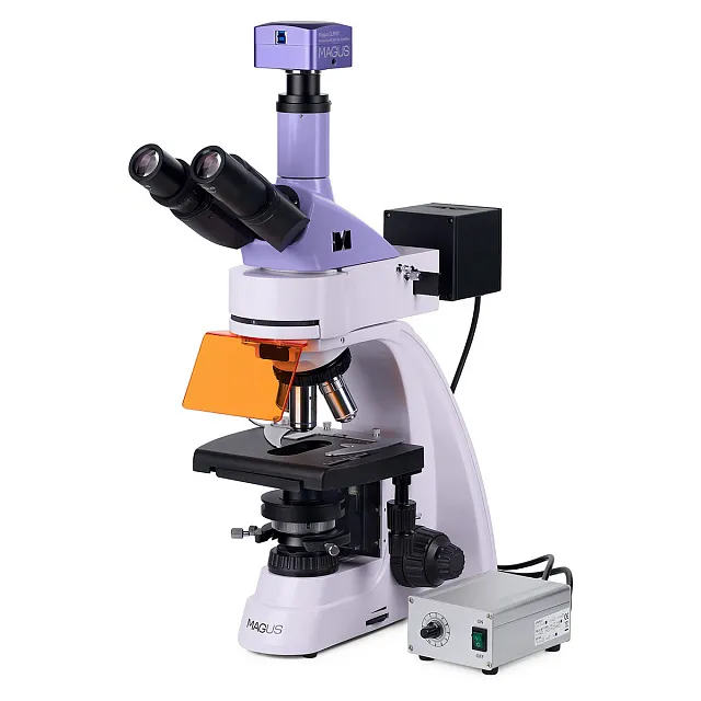 Микроскоп люминесцентный цифровой MAGUS Lum D400L