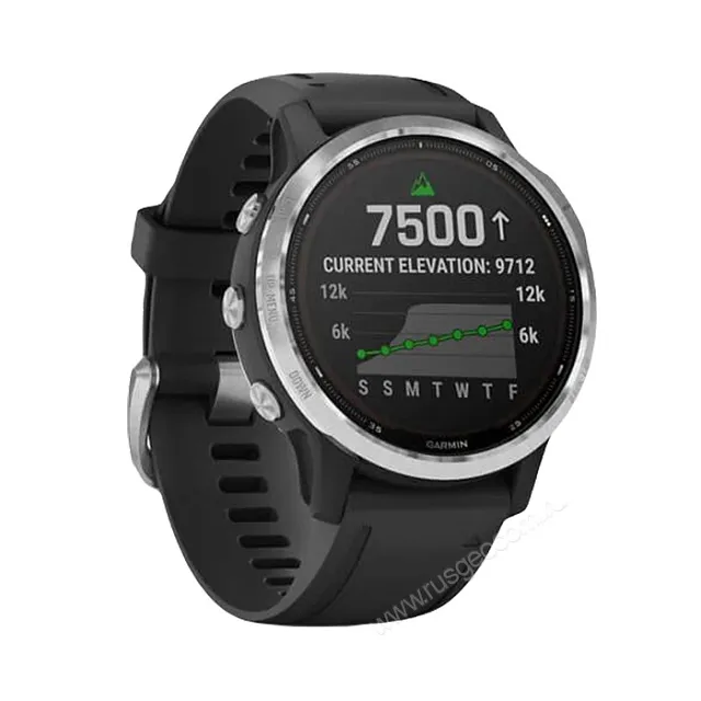 Часы Garmin Fenix 6S Solar серебристый с черным ремешком