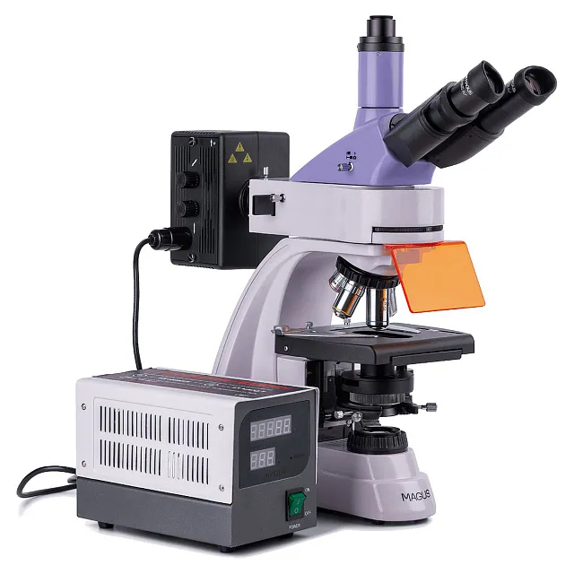 Микроскоп люминесцентный цифровой MAGUS Lum D400 LCD